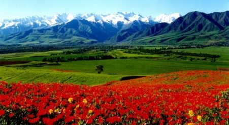 Kyrgyzstan